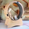 Cat Exercise Wheel – Running, Spinning, and Scratching Fun, Cat Treadmill with Carpeted Runway, Kitty Cat Sport Toy
