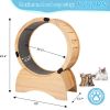 Cat Exercise Wheel – Running, Spinning, and Scratching Fun, Cat Treadmill with Carpeted Runway, Kitty Cat Sport Toy